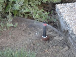 Installation einer Bewaesserungsanlage